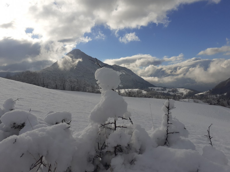 Mésanges - © Chery Elisabeth Mésanges