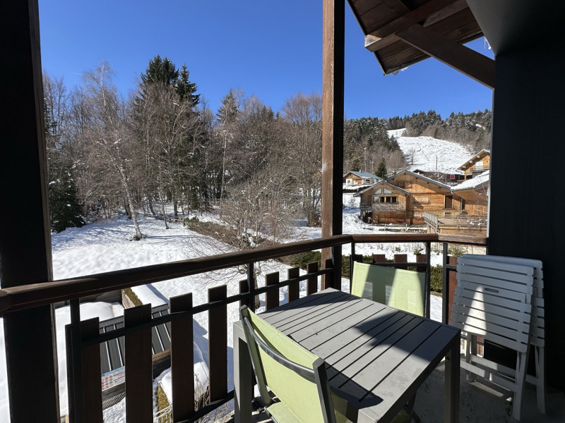 L'Orionde 26_La Féclaz - vue ennéigée