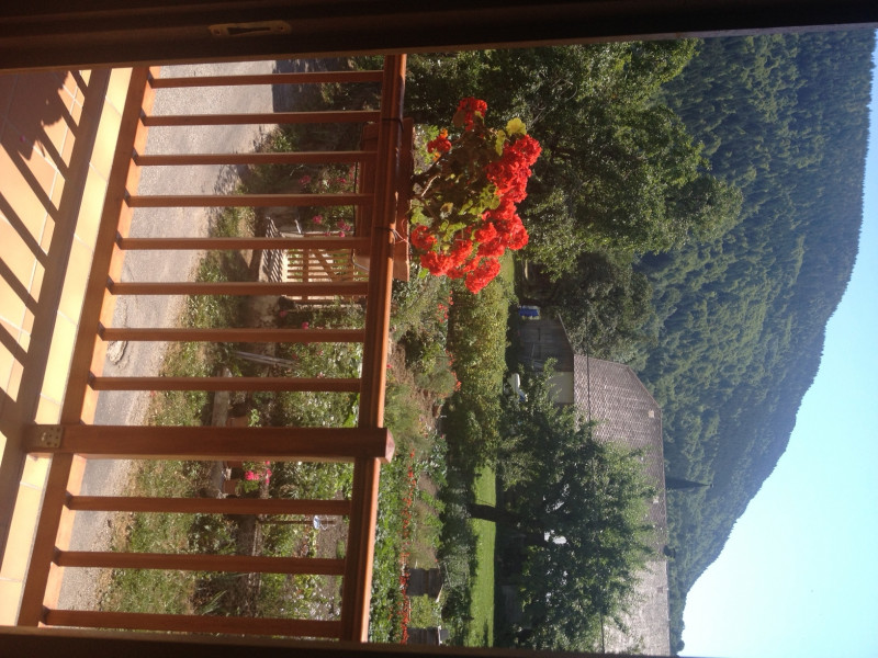 Rucher de Montpellaz - © Trepier Rucher de Montpellaz