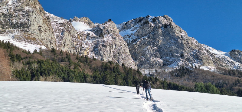 personnes effectuant une randonnée en raquettes dans la neige