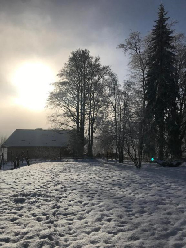 Gentianes 3 Gentianes 3