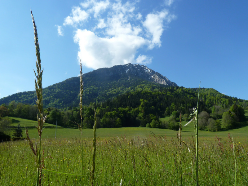 Aux alentours Aux alentours