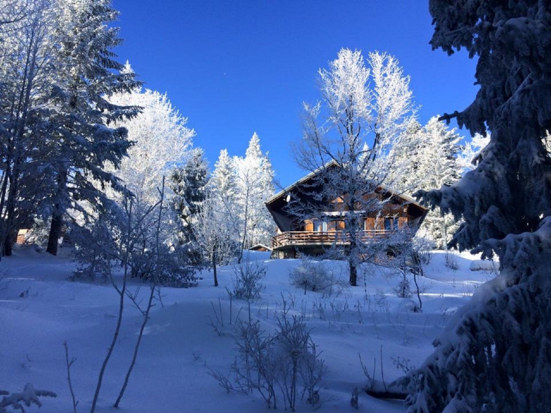 chalet des airelles - © Lepape chalet des airelles