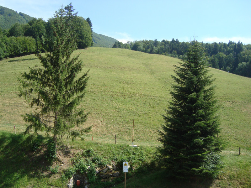Saint-Anne n°60_M. Legendre - © M. Legendre Saint-Anne n°60_M. Legendre