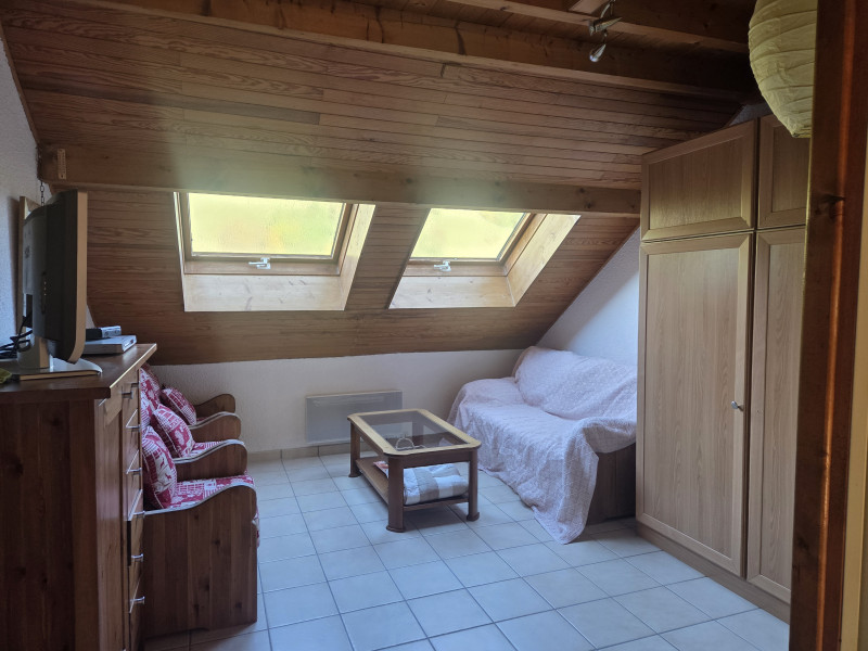 Espace salon - Studio Duplex n°127 - Le Colombier - Mme Kappler_Aillon-le-Jeune