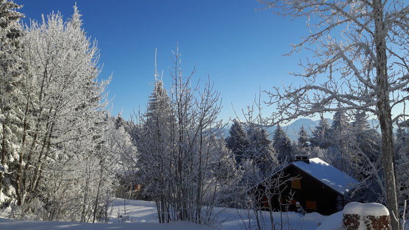 Chalet Les Epilobes_Le Revard - © Carcasses Blandine Chalet Les Epilobes_Le Revard