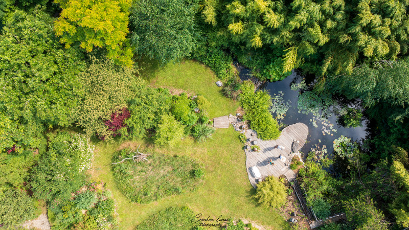 Le jardin